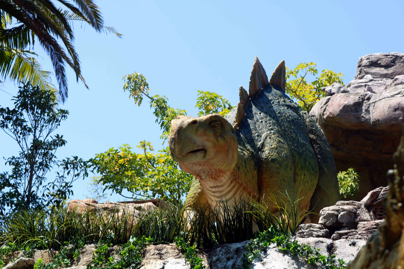 The baby stegosaurus is adorable.